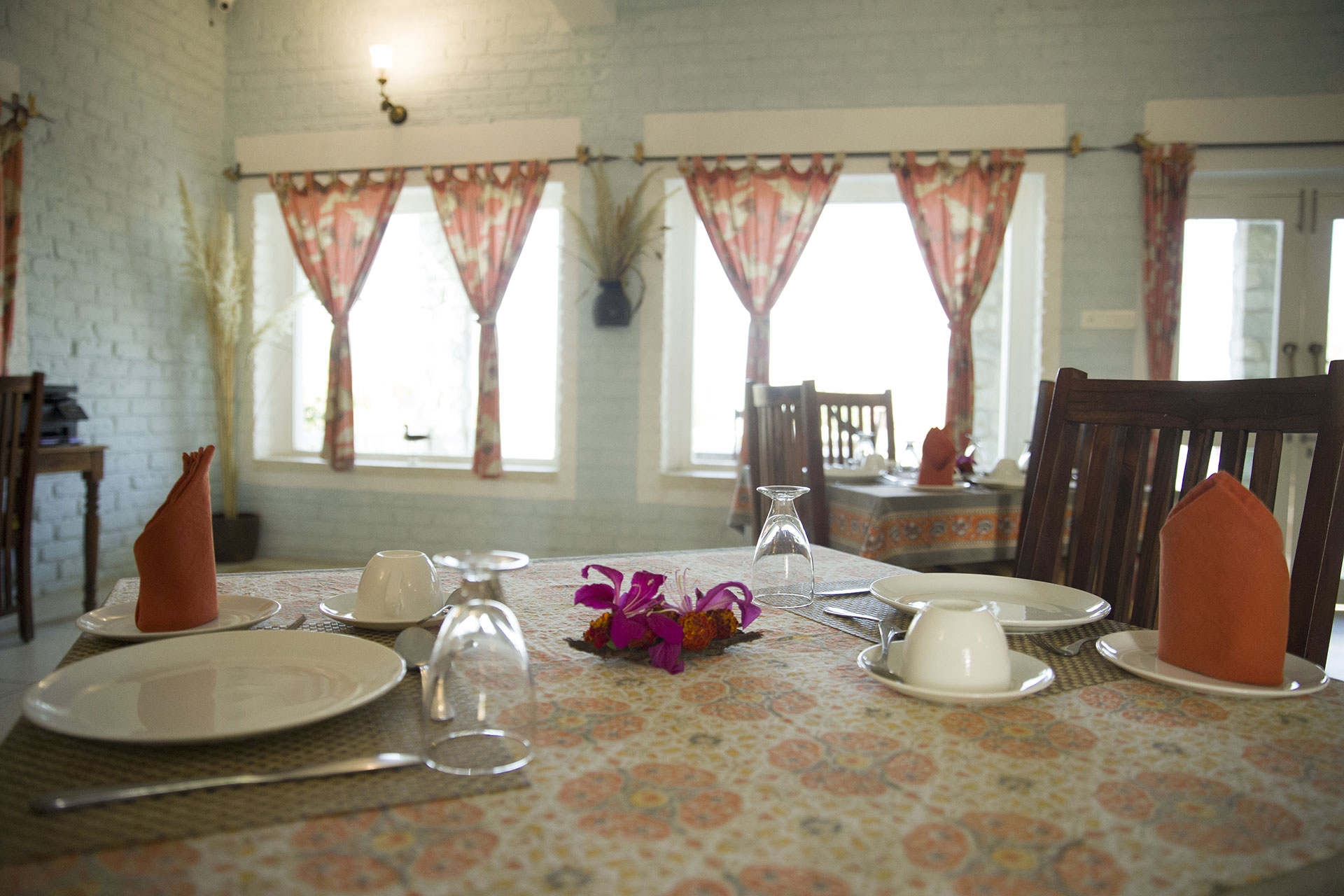 Jawai glamping resort