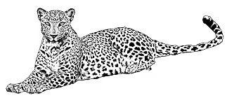 Luxury resort in Jawai